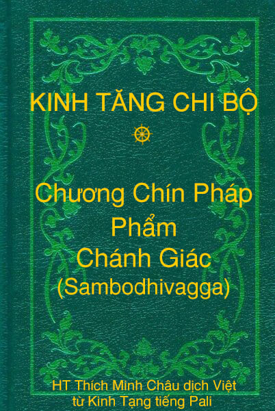Phẩm Chánh Giác (Sambodhivagga) - Chương Chín Pháp thuộc Kinh Tăng Chi Bộ
