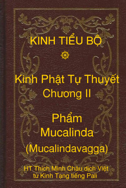 Kinh Tiểu Bộ – Kinh Phật Tự Thuyết – Chương II – Phẩm Mucalinda (Mucalindavagga)