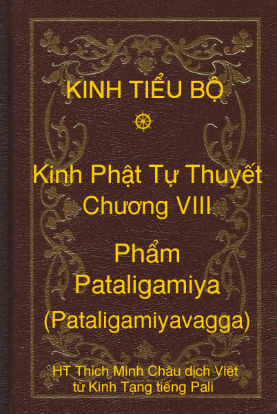 Kinh Tiểu Bộ – Kinh Phật Tự Thuyết – Chương VIII – Phẩm Pataligamiya (Pataligamiyavagga)