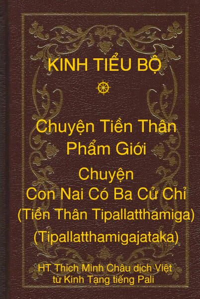 Kinh Tiểu Bộ – Chuyện Tiền Thân – Chương 1 – Phẩm Giới – Chuyện Con Nai Có Ba Cử Chỉ (Tiền Thân Tipallatthamiga, Tipallatthamigajataka)