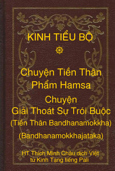 Kinh Tiểu Bộ – Chuyện Tiền Thân – Chương 1 – Phẩm Hamsa – Chuyện Giải Thoát Sự Trói Buộc (Tiền Thân Bandhanamokkha, Bandhanamokkhajataka)
