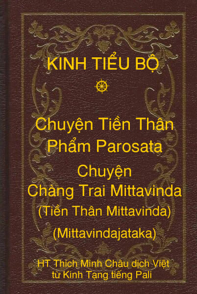 Kinh Tiểu Bộ – Chuyện Tiền Thân – Chương 1 – Phẩm Parosata – Chuyện Chàng Trai Mittavinda (Tiền Thân Mittavinda, Mittavindajataka)