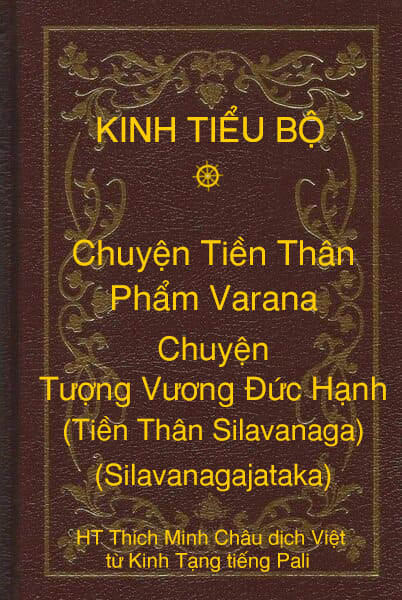 Kinh Tiểu Bộ – Chuyện Tiền Thân – Chương 1 – Phẩm Varana – Chuyện Tượng Vương Đức Hạnh (Tiền Thân Silavanaga, Silavanagajataka)