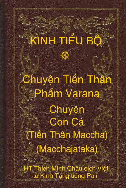 Kinh Tiểu Bộ – Chuyện Tiền Thân – Chương 1 – Phẩm Varana – Chuyện Con Cá (Tiền Thân Maccha, Macchajataka)