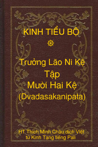 Kinh Tiểu Bộ – Trưởng Lão Ni Kệ – Phẩm 11 – Tập Mười Hai Kệ (Dvadasakanipata)