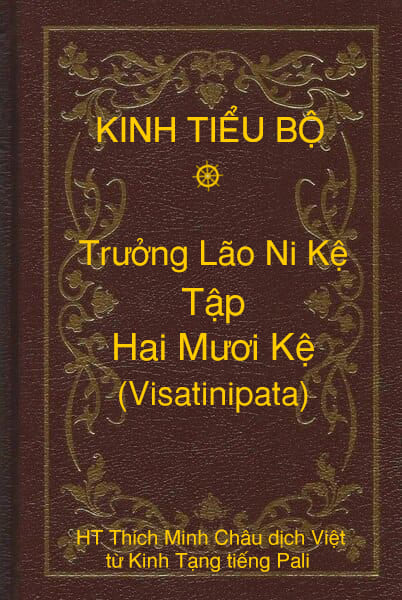 Kinh Tiểu Bộ – Trưởng Lão Ni Kệ – Phẩm 13 – Tập Hai Mươi Kệ (Visatinipata)