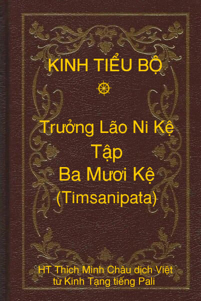 Kinh Tiểu Bộ – Trưởng Lão Ni Kệ – Phẩm 14 – Tập Ba Mươi Kệ (Timsanipata)