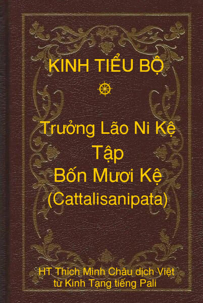 Kinh Tiểu Bộ – Trưởng Lão Ni Kệ – Phẩm 15 – Tập Bốn Mươi Kệ (Cattalisanipata)