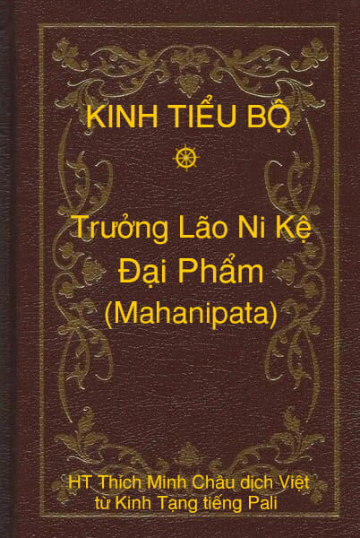 Kinh Tiểu Bộ – Trưởng Lão Ni Kệ – Phẩm 16 – Đại Phẩm (Mahanipata)