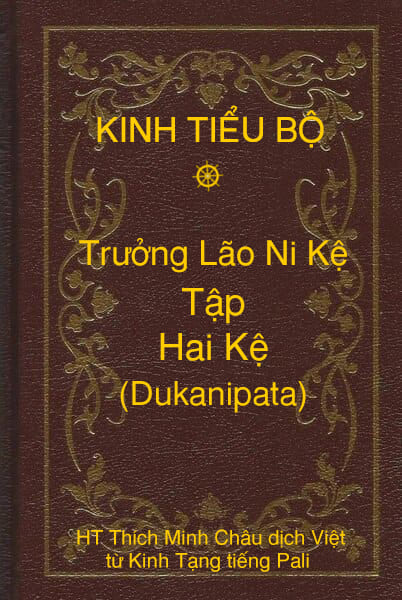 Kinh Tiểu Bộ – Trưởng Lão Ni Kệ – Phẩm 2 – Tập Hai Kệ (Dukanipata)
