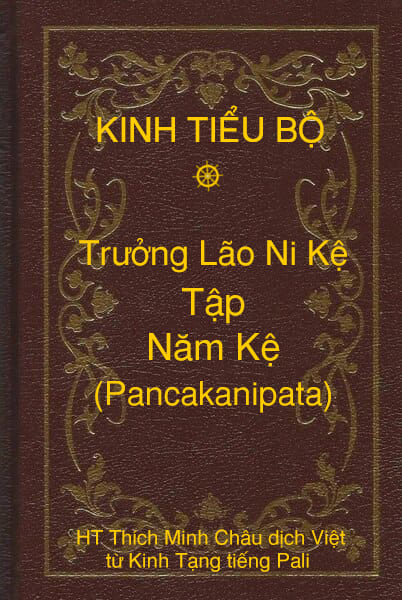 Kinh Tiểu Bộ – Trưởng Lão Ni Kệ – Phẩm 5 – Tập Năm Kệ (Pancakanipata)