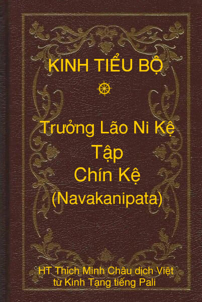 Kinh Tiểu Bộ – Trưởng Lão Ni Kệ – Phẩm 9 – Tập Chín Kệ (Navakanipata)