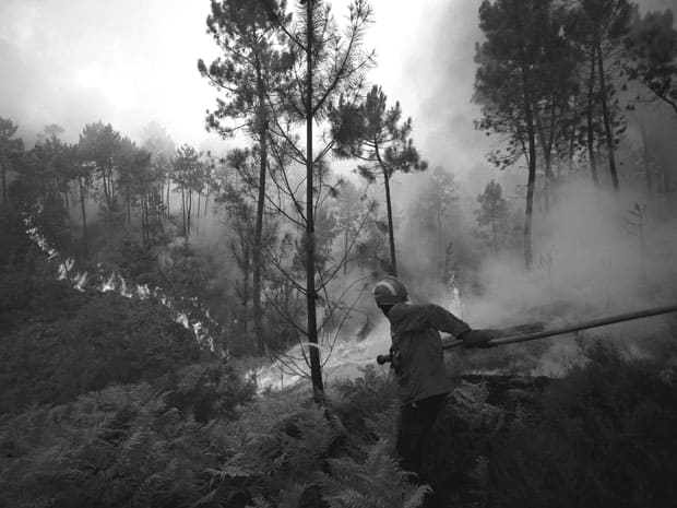 Đốt rừng phá hoại môi sinh