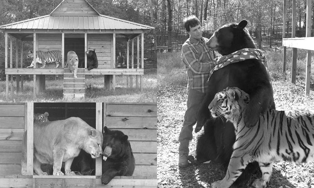 Muông thú và con người