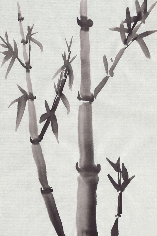 Cây tre