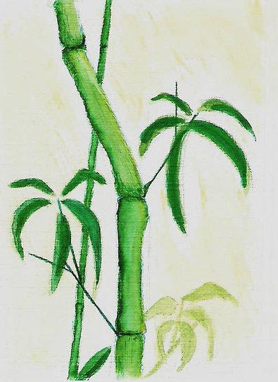 Cây tre