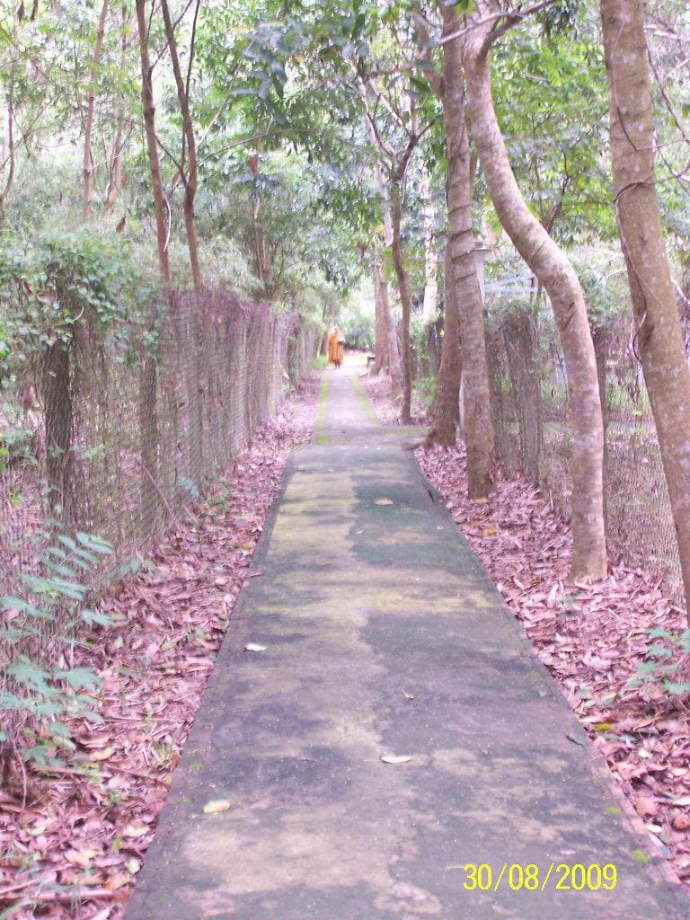 Lối đi trong Chùa Am