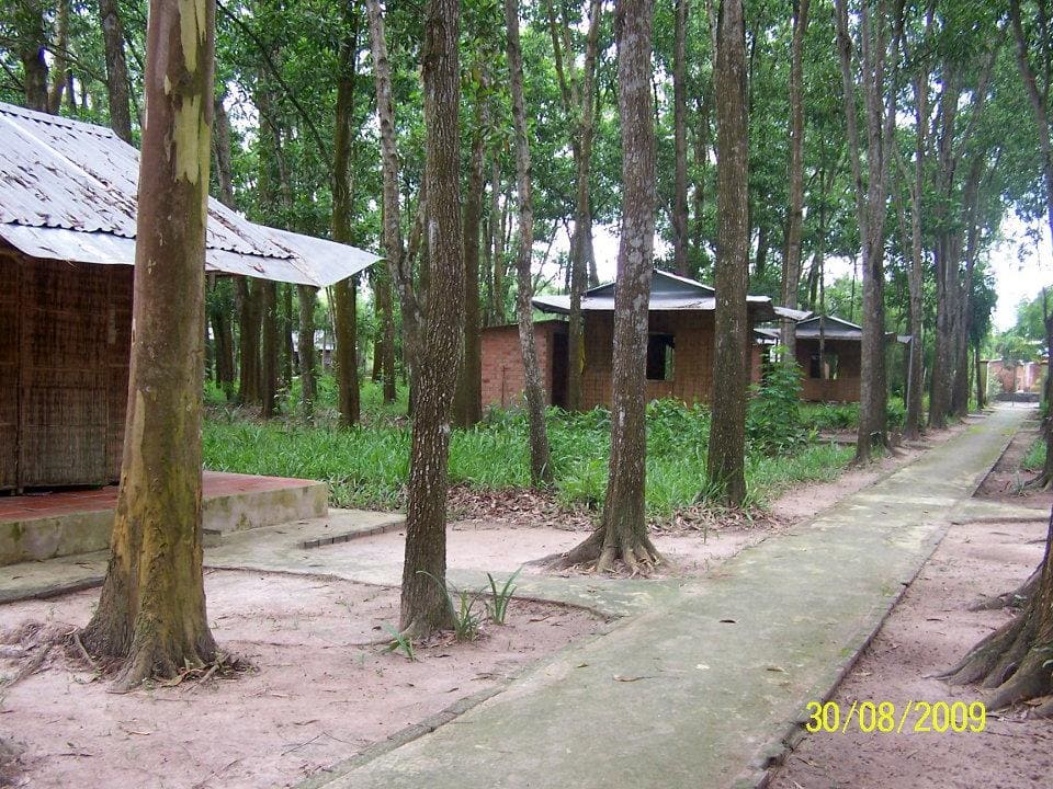 Đường vào am thất trong Chùa Am