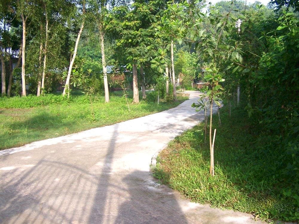 Đường vào khu phát triển của Chùa Am ngày nay