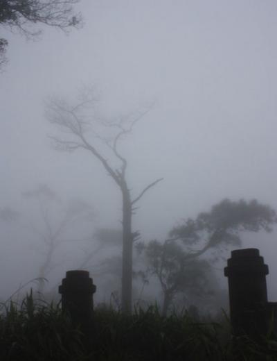 Chùa Am ngày xưa
