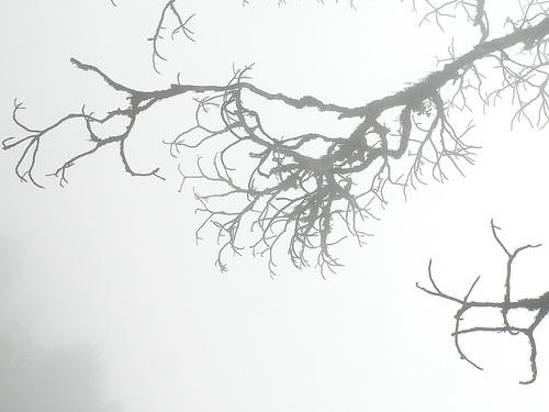 Thần chết