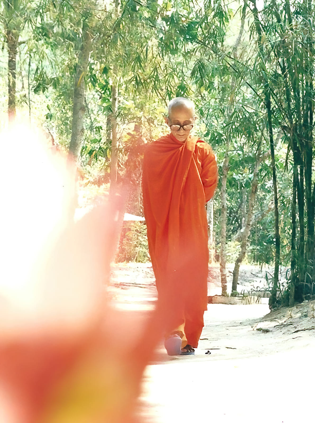 Trưởng lão Thích Thông Lạc trong tu viện